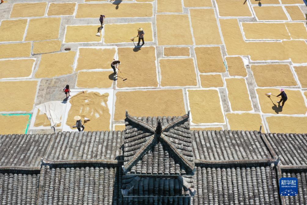 银河网页版